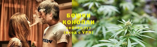 ГАЛЛЮЦИНОГЕННЫЕ ГРИБЫ Горняк