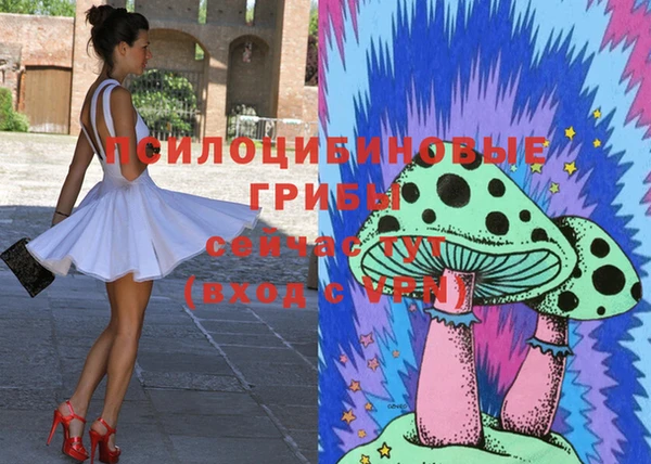 стаф Горно-Алтайск