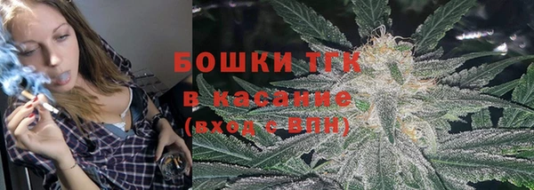 ГАЛЛЮЦИНОГЕННЫЕ ГРИБЫ Горняк