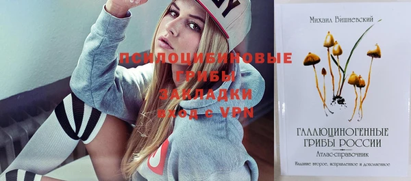 ГАЛЛЮЦИНОГЕННЫЕ ГРИБЫ Горняк