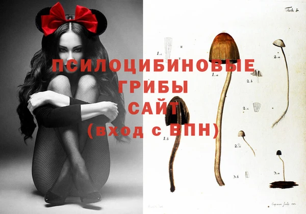 ГАЛЛЮЦИНОГЕННЫЕ ГРИБЫ Горняк