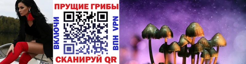 Псилоцибиновые грибы мухоморы  Купить  Калтан 